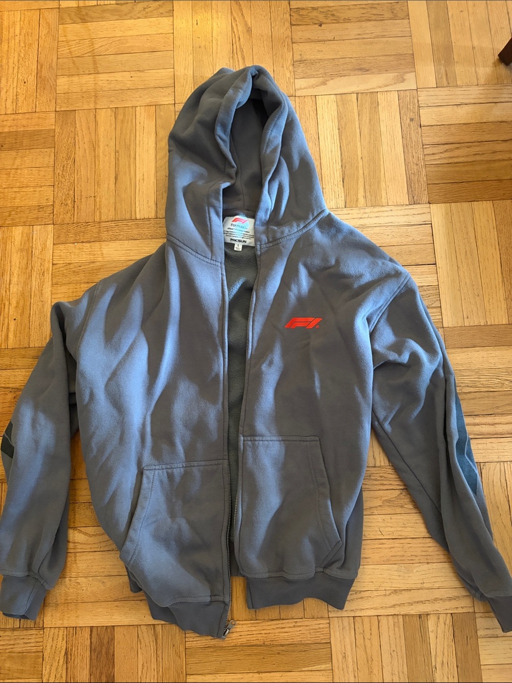 Formula 1 (F1) x PacSun Sweatshirt Hoodie